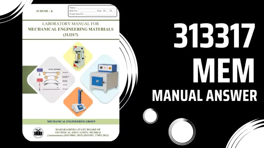 313317 MEM Manual Answer