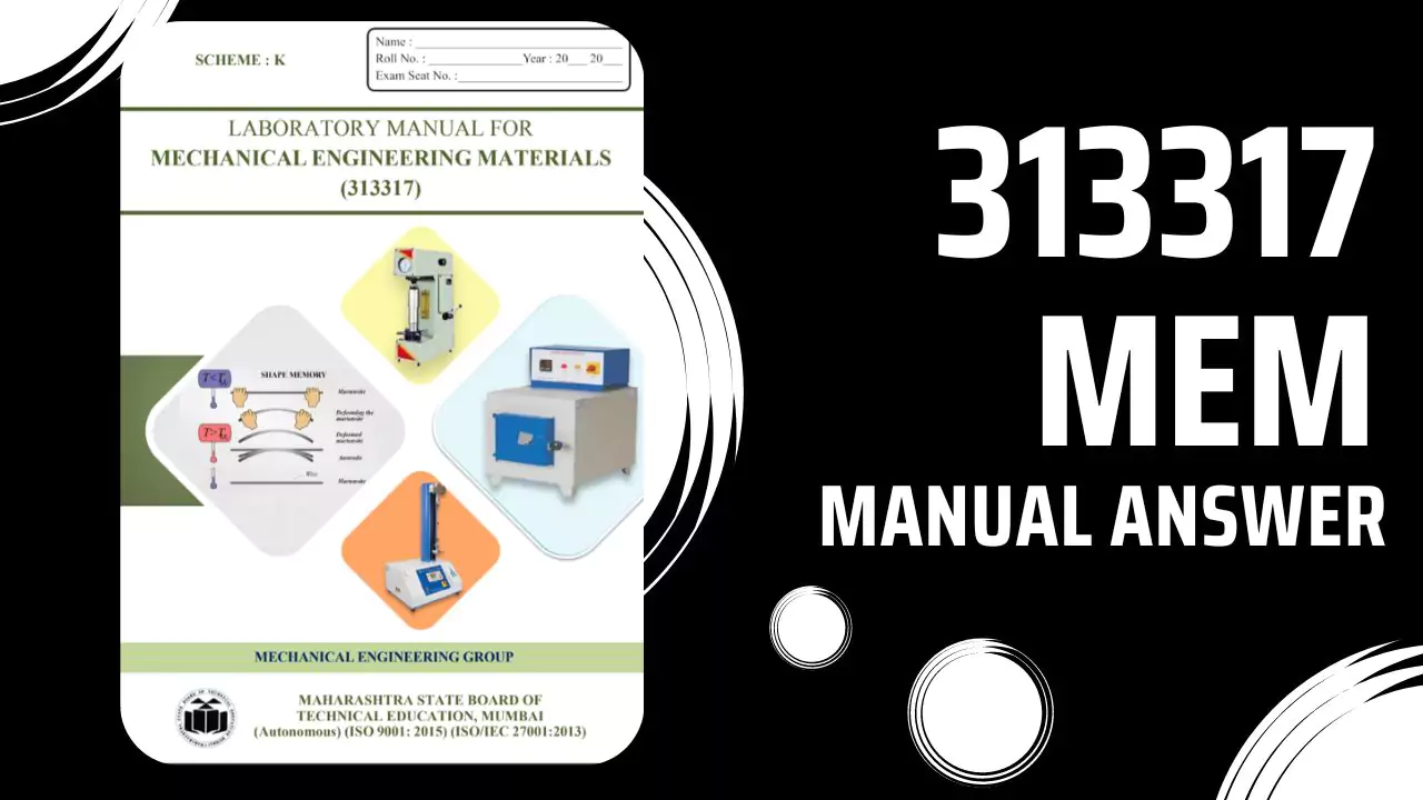 313317 MEM Manual Answer